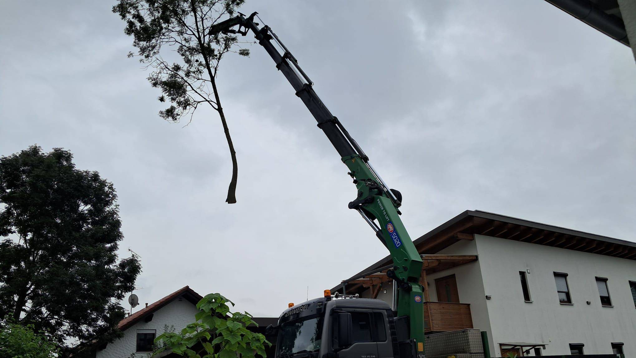 Baumfällungen und Problembaumfällung – Kronfeldner