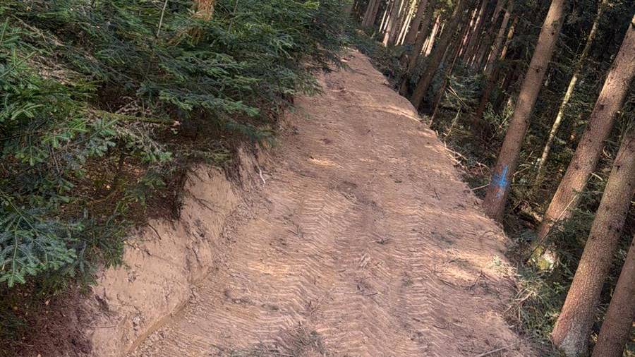 Forstwege-Bau ( Neuerschließung ) – Forst- & Baggerbetrieb Kronfeldner