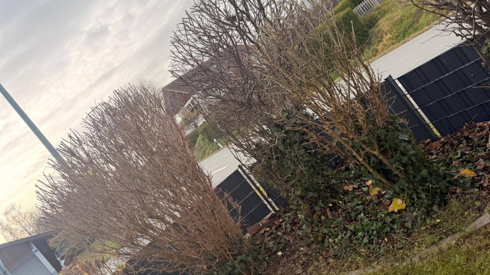 Garten- und Hecke-Pflege – Forst- & Baggerbetrieb Kronfeldner