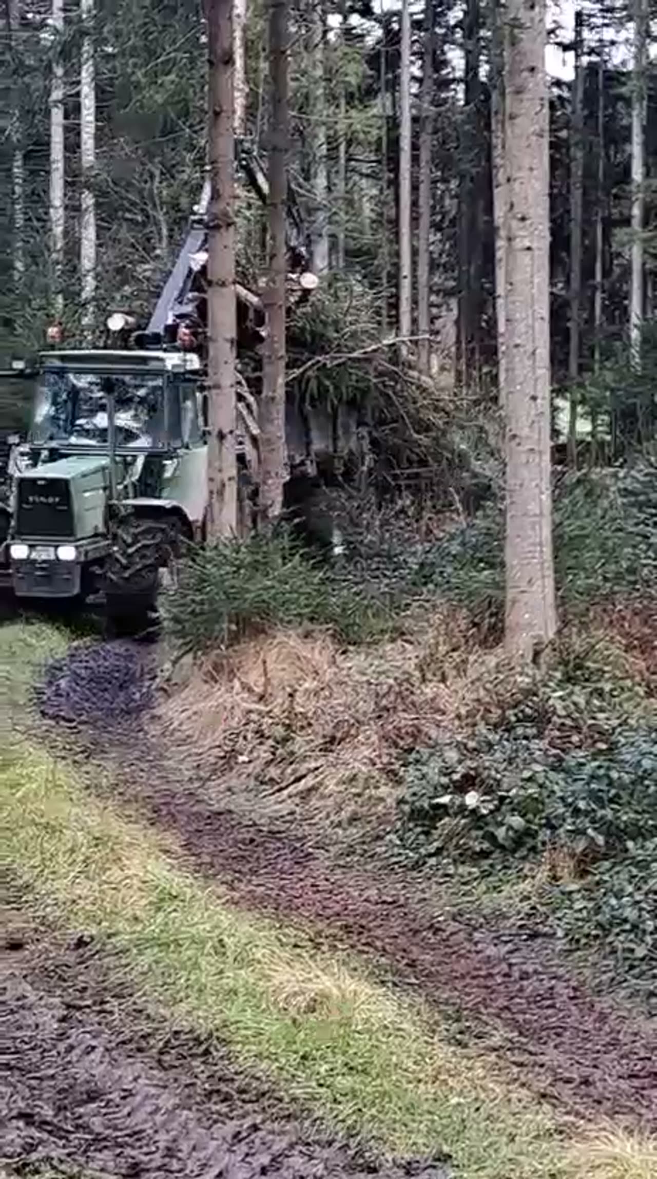 Holzrückung – Forst- & Baggerbetrieb Kronfeldner